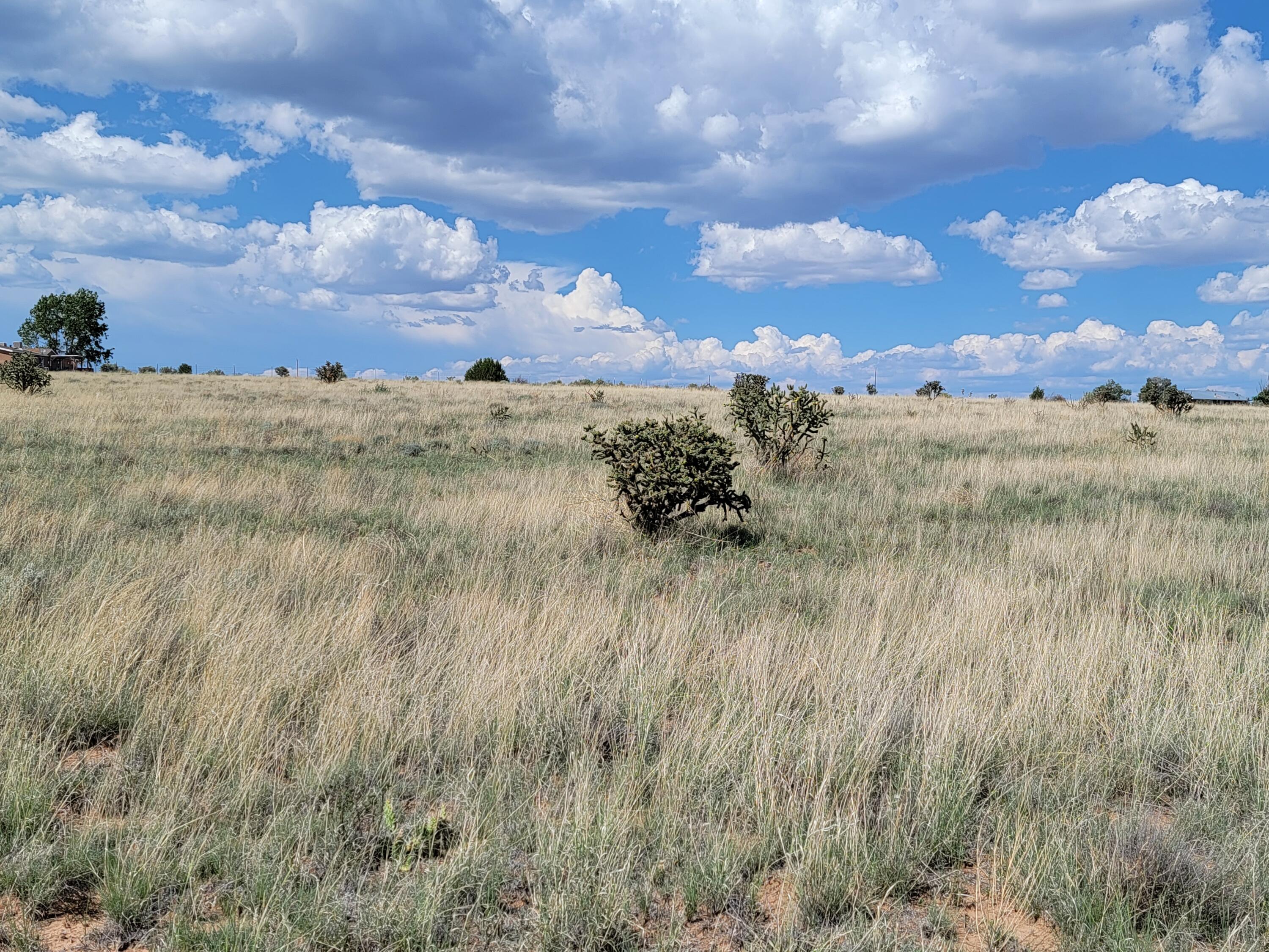 13 Dapple Lane, Edgewood, New Mexico image 1