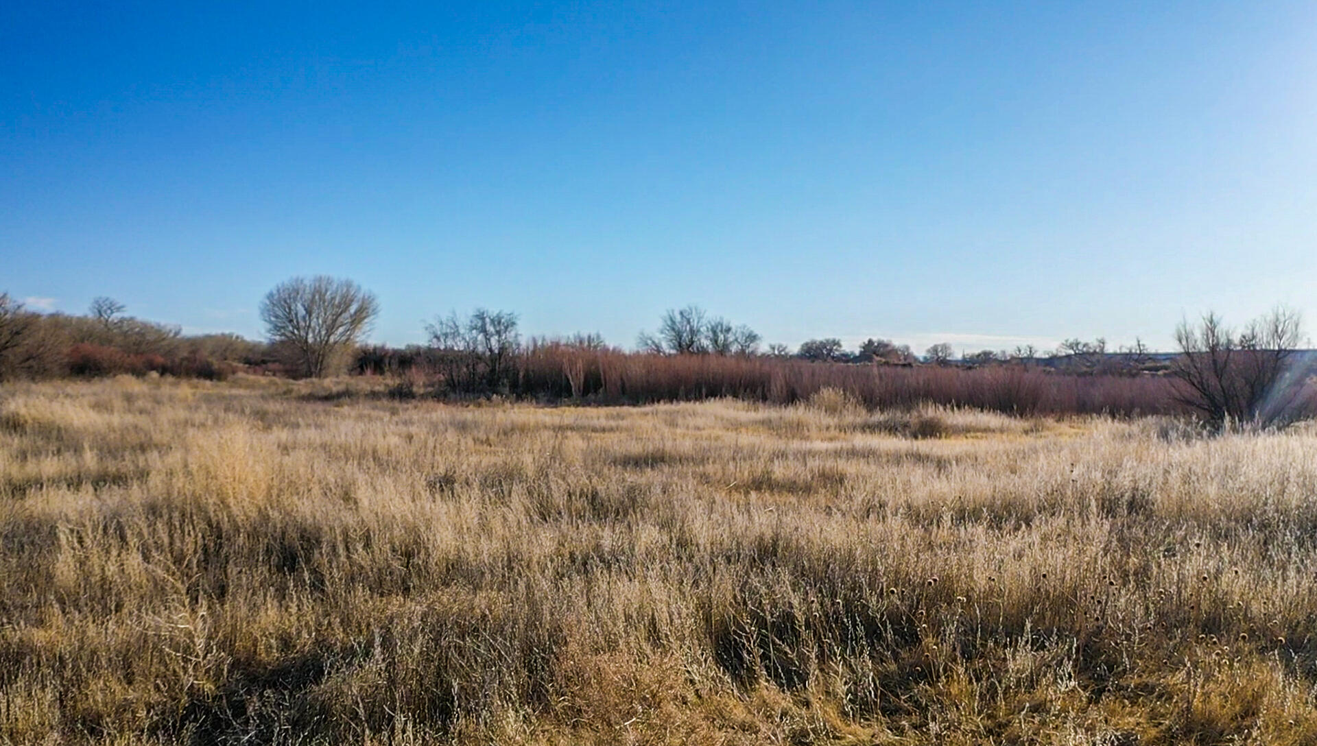 510 Nm-116, Bosque, New Mexico image 11