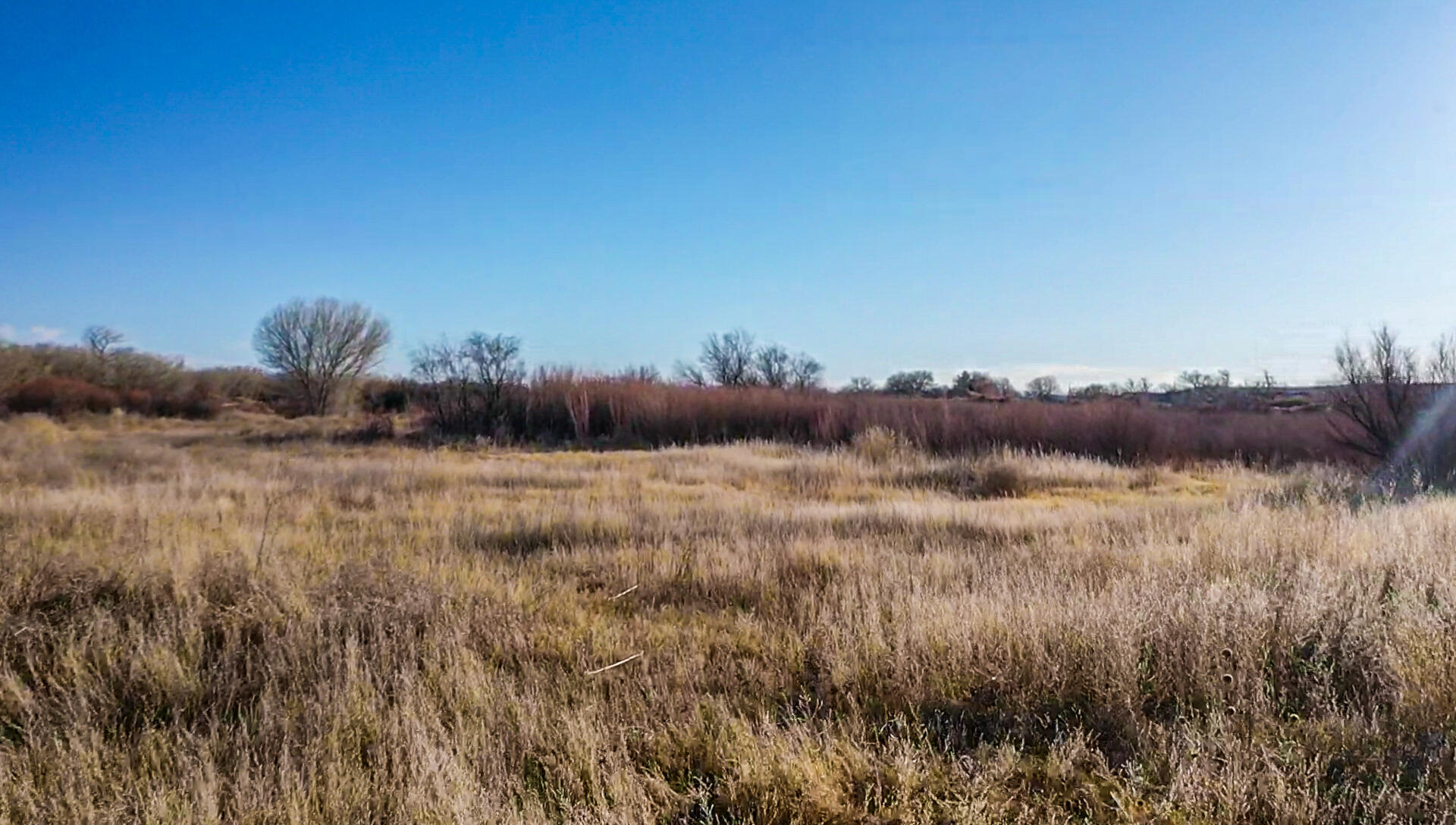 510 Nm-116, Bosque, New Mexico image 14