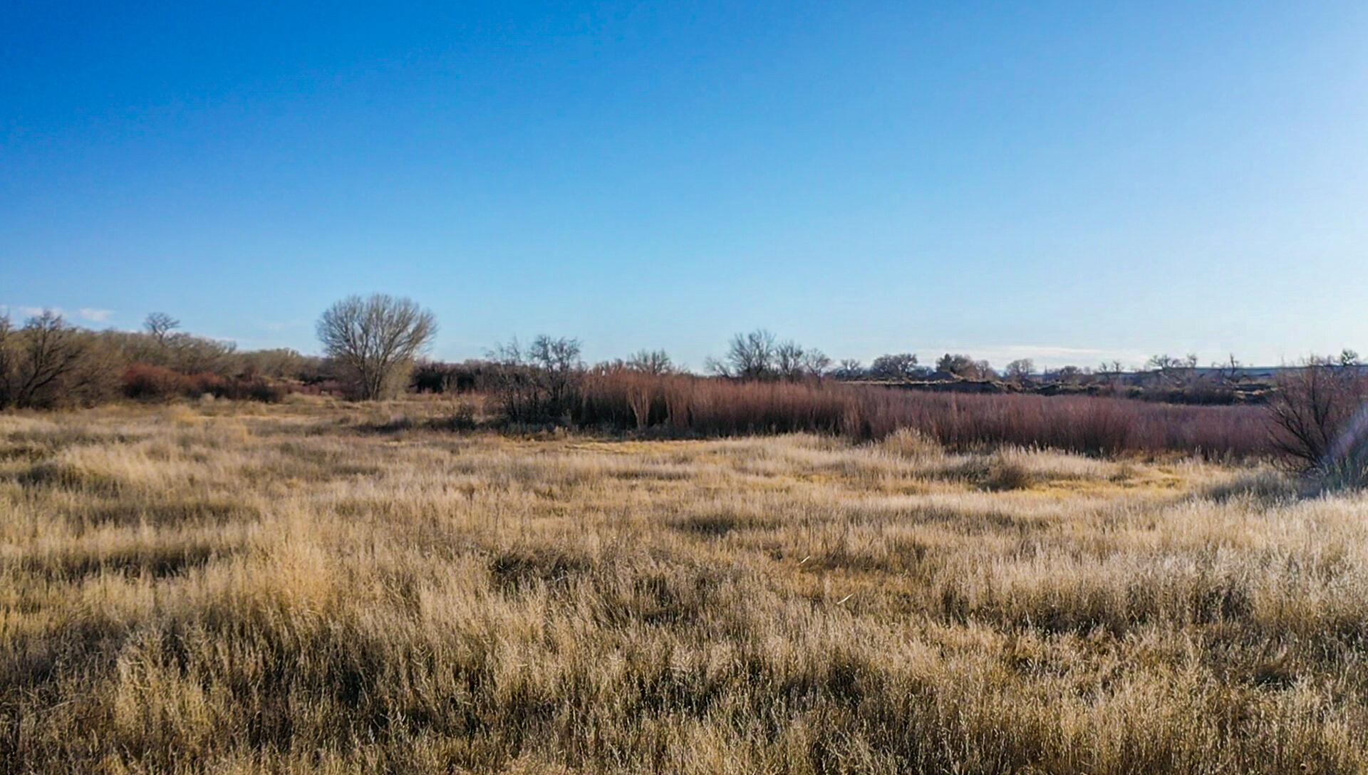510 Nm-116, Bosque, New Mexico image 10