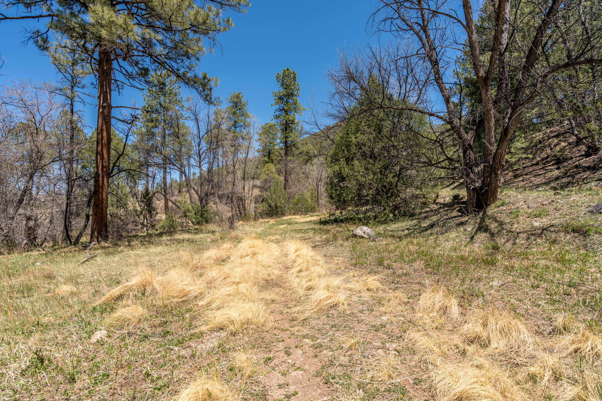 Us Highway 70, Ruidoso Downs, New Mexico image 4