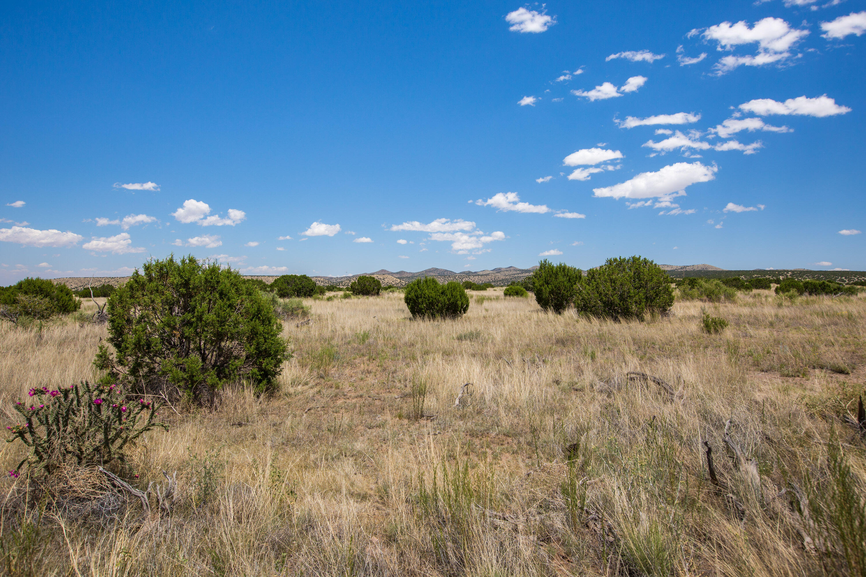 Lot 58 Pinon Springs Ranch, Magdalena, New Mexico image 5