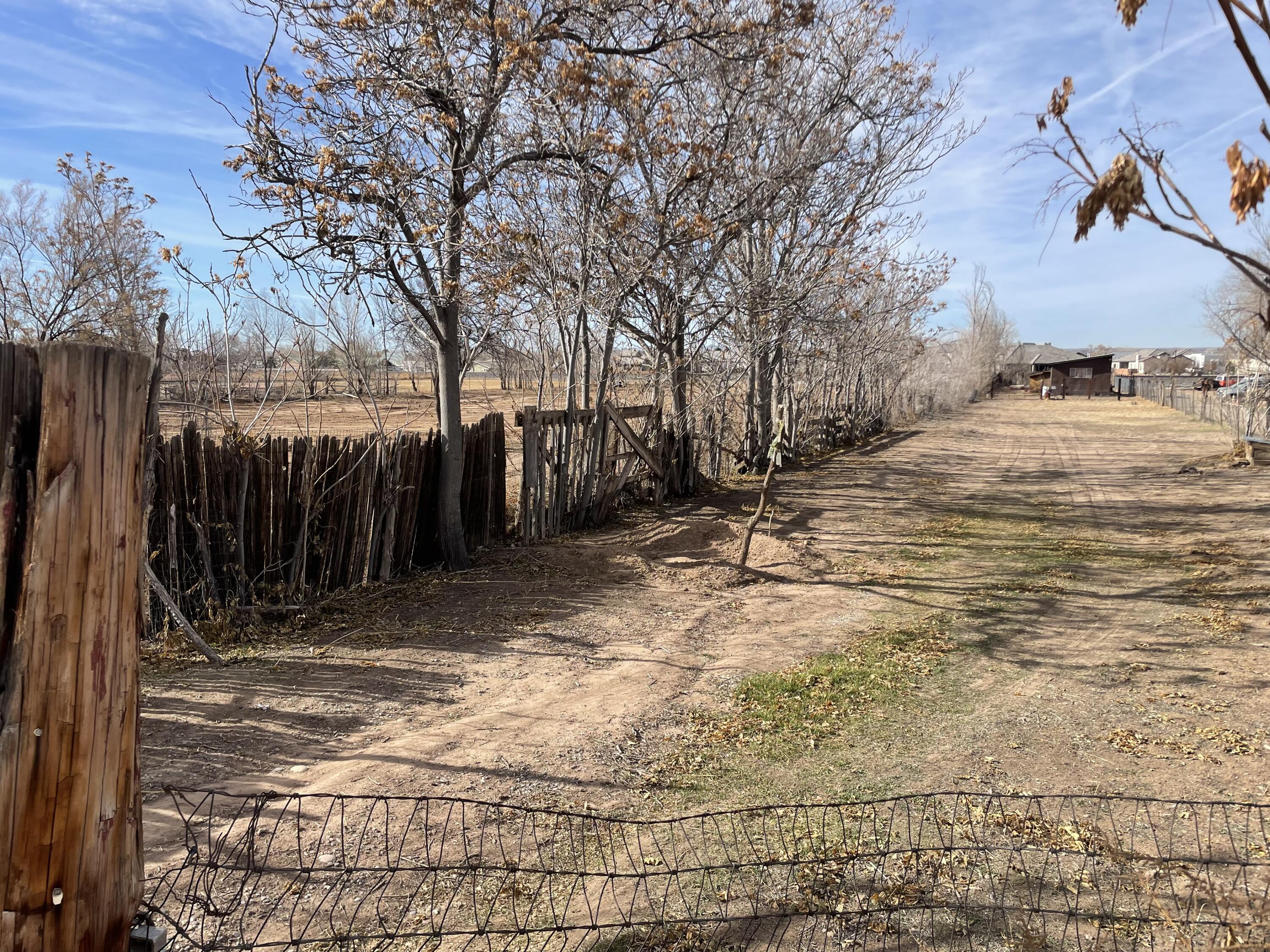 7506 Edith Boulevard, Albuquerque, New Mexico image 7