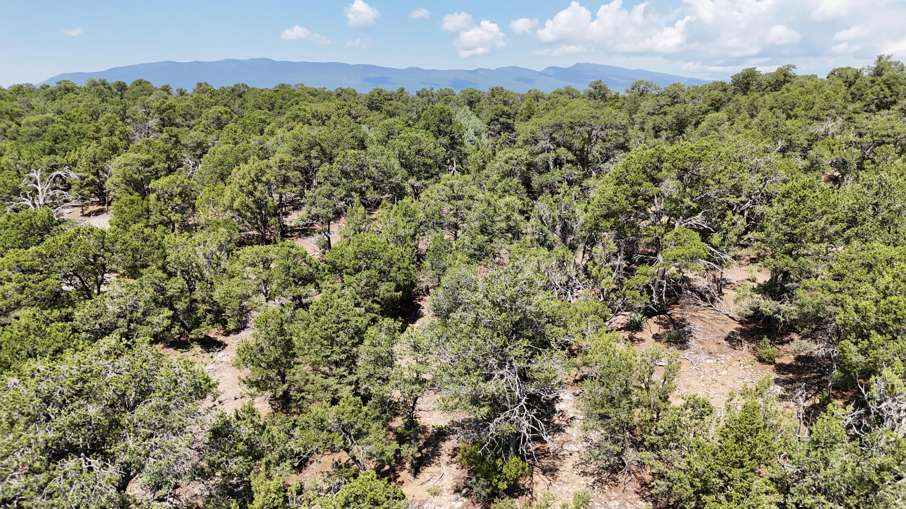 30 Rancho Verde Road