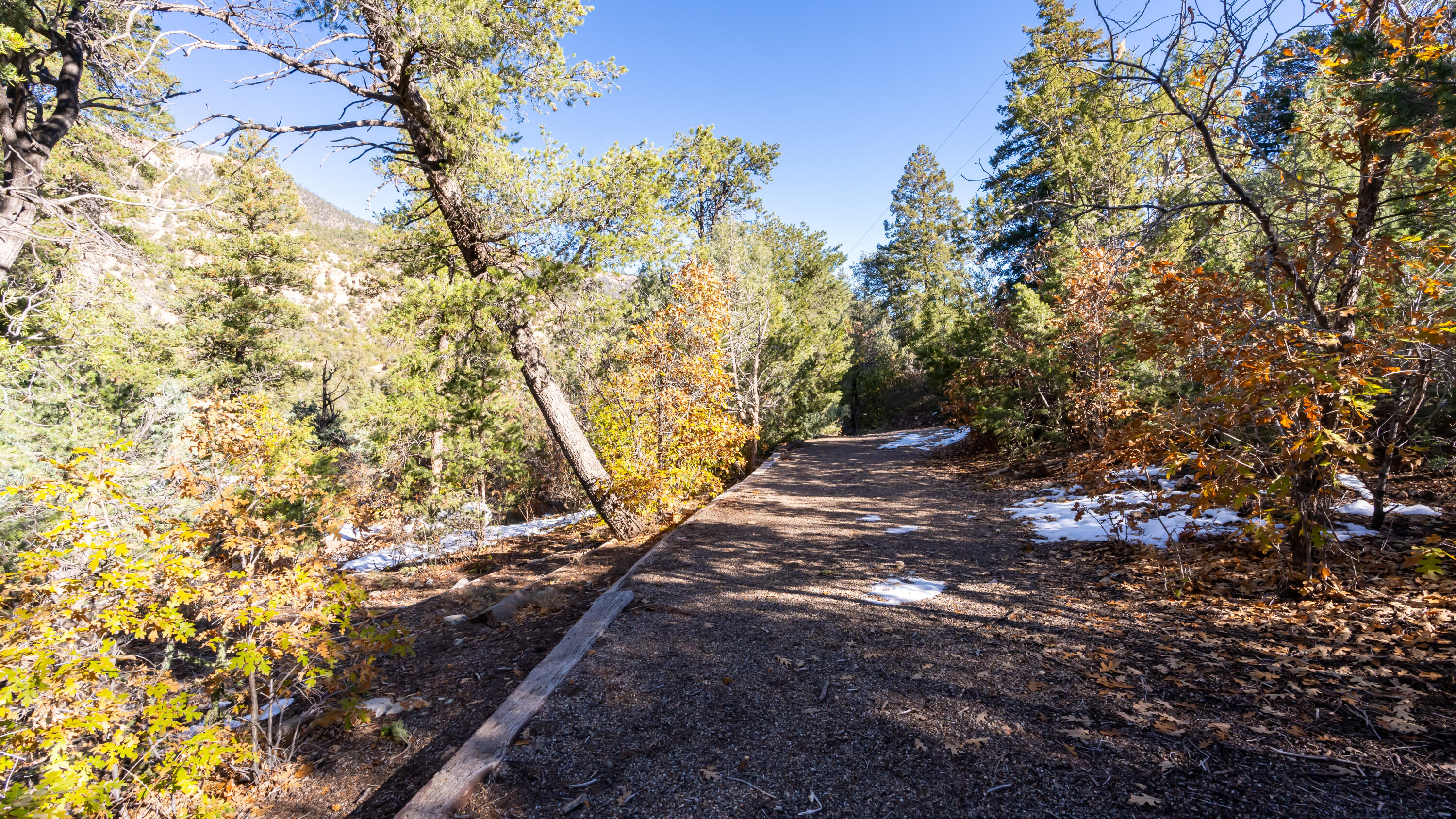 808 San Diego Loop, Jemez Springs, New Mexico image 33