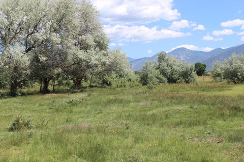 Vacant Land For Sale - La Senisa Rd.<br/> Taos, NM 87571
