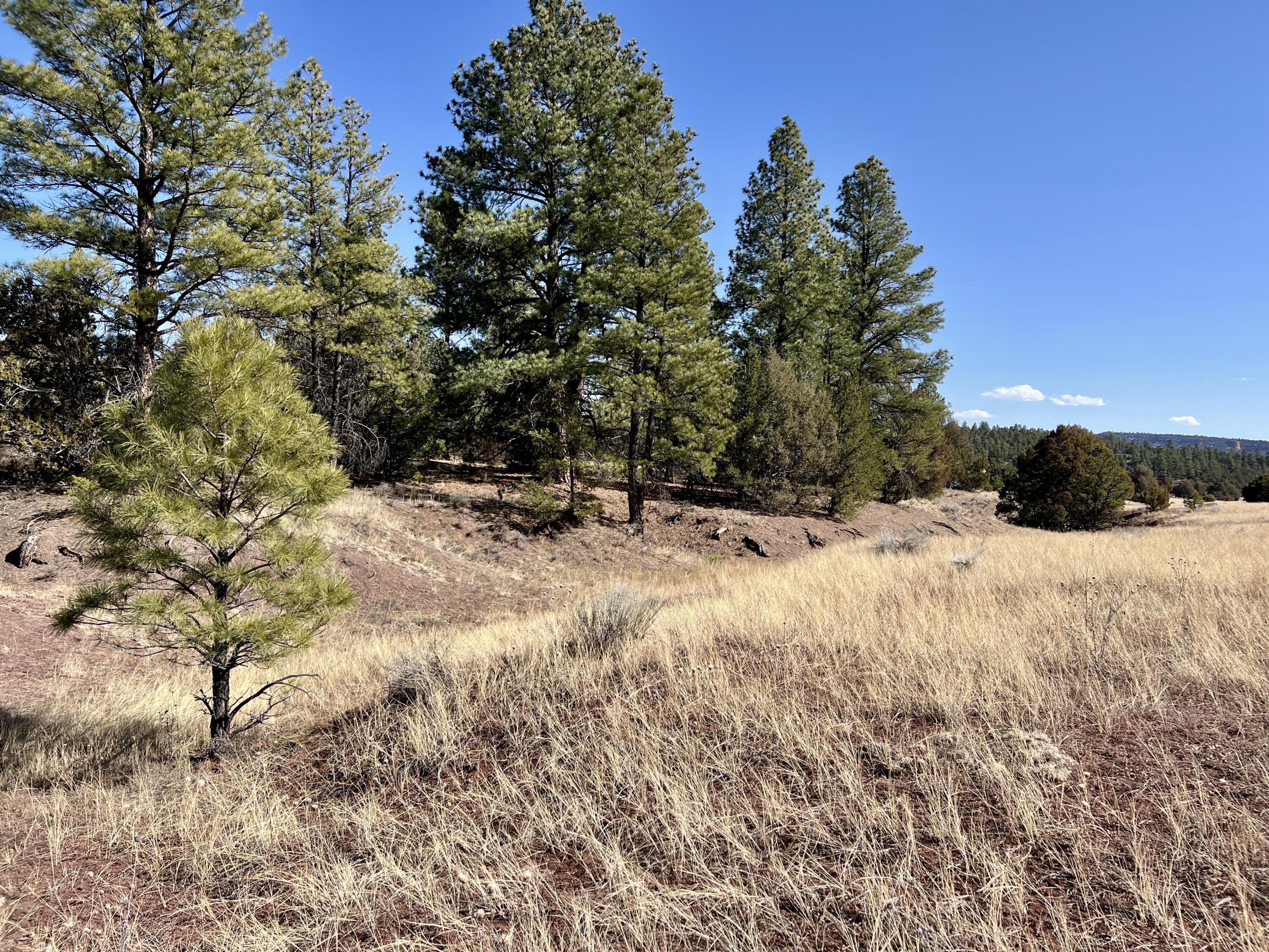 Lot 9 Juniper Drive, Ramah, New Mexico image 38
