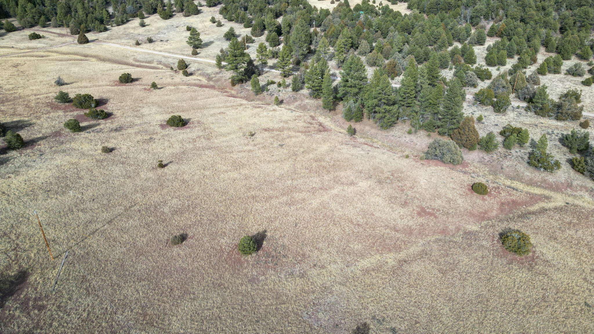 Lot 9 Juniper Drive, Ramah, New Mexico image 21