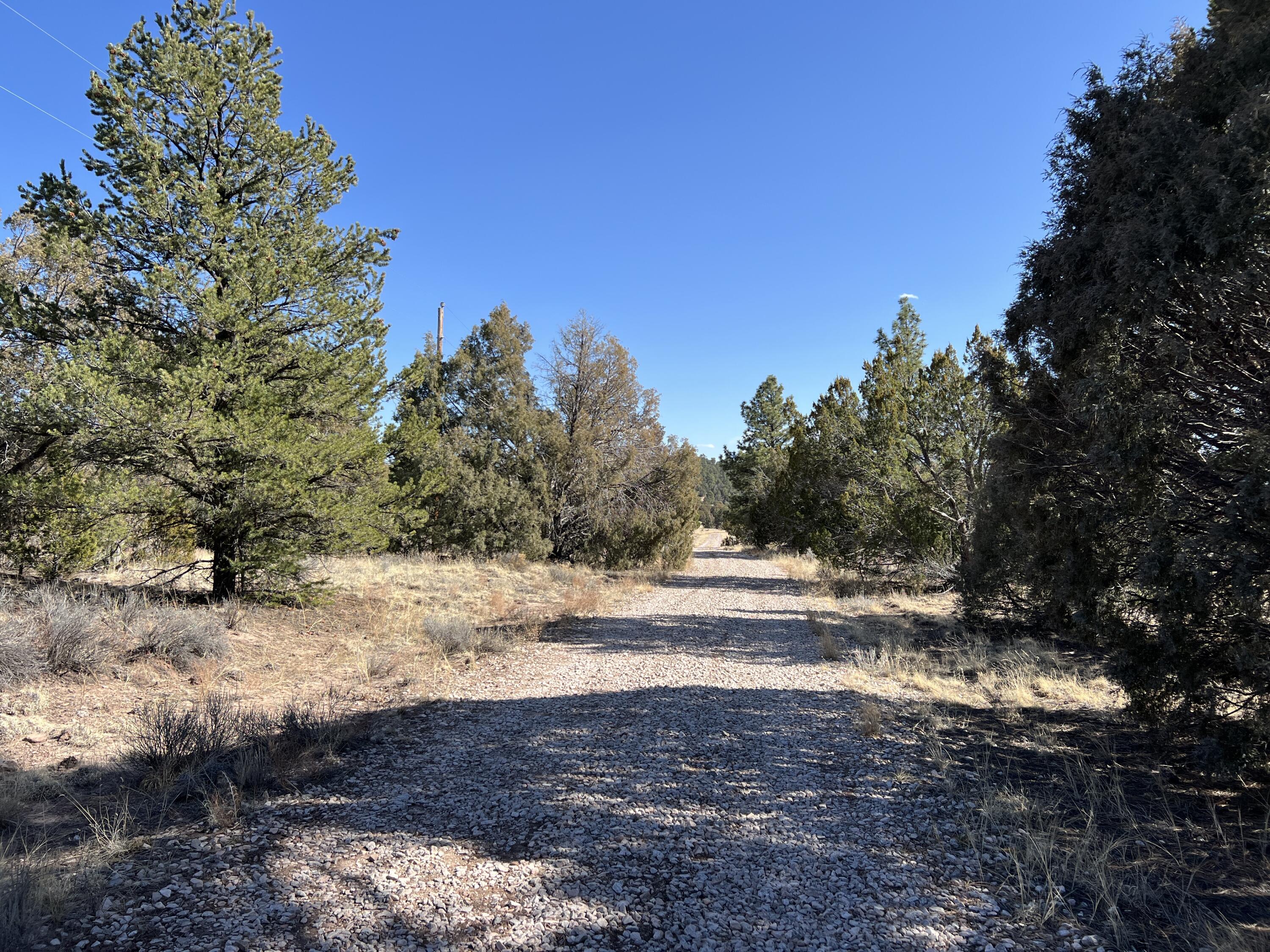 Lot 9 Juniper Drive, Ramah, New Mexico image 28