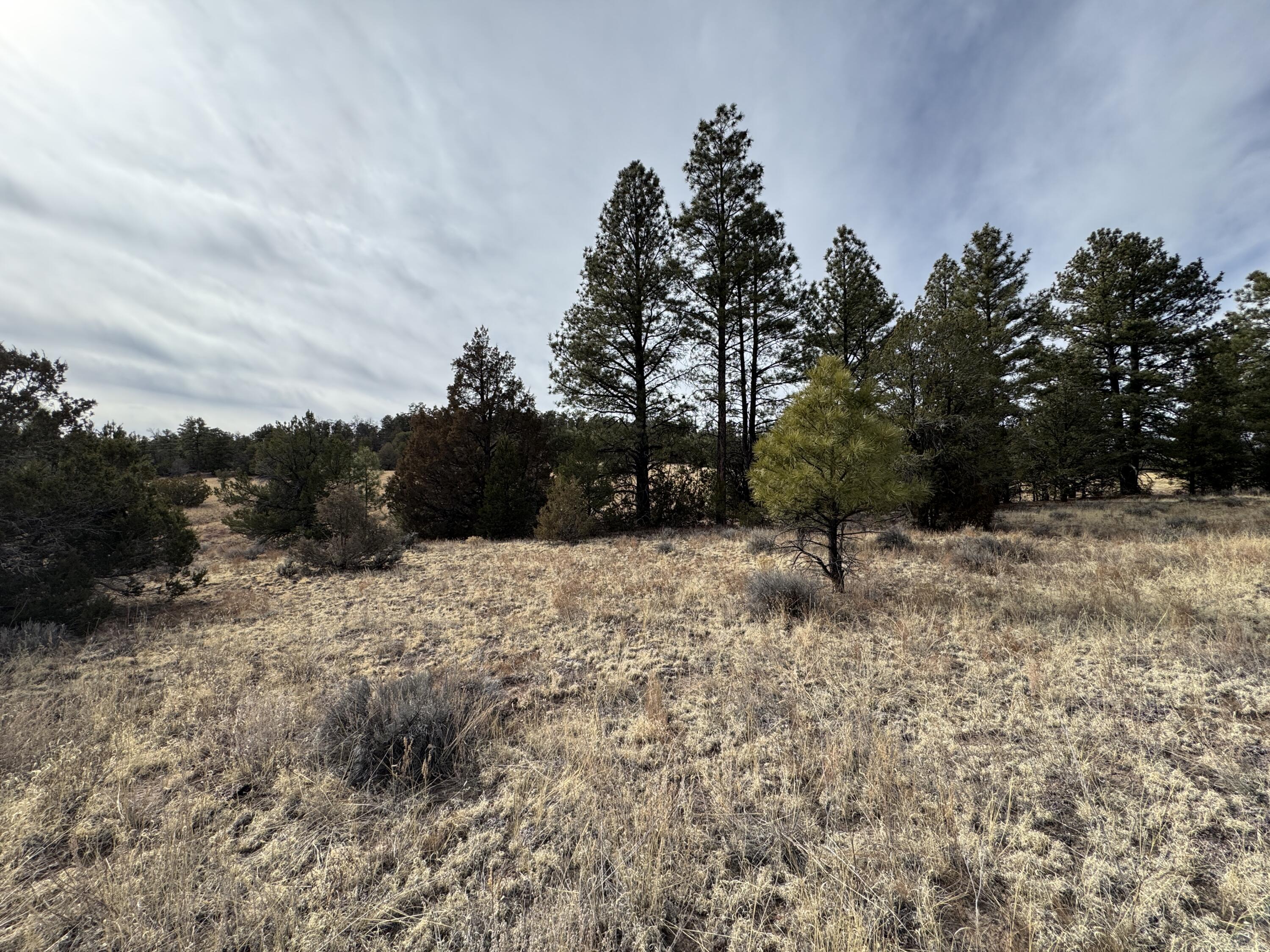 Lot 9 Juniper Drive, Ramah, New Mexico image 8