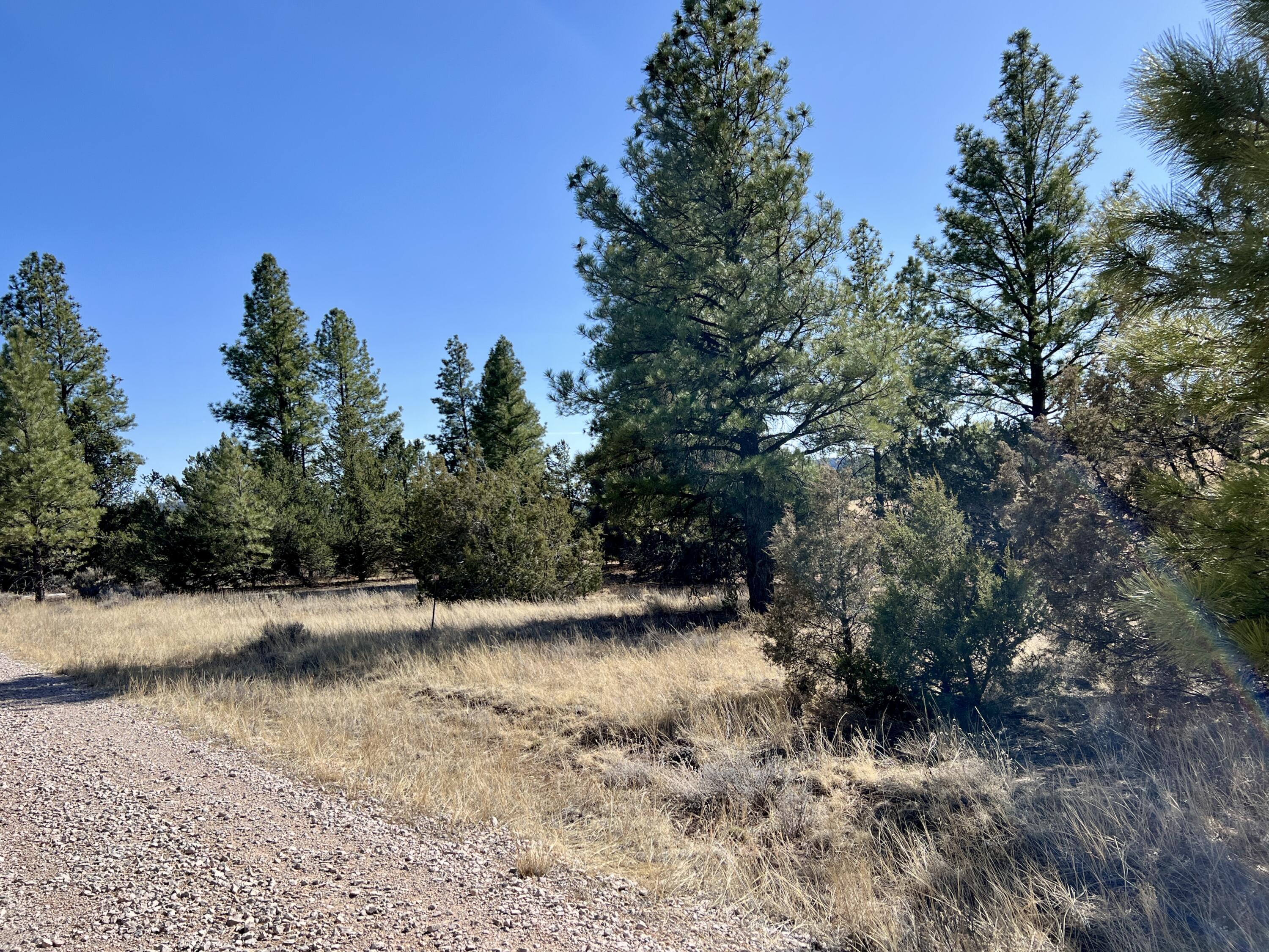 Lot 9 Juniper Drive, Ramah, New Mexico image 26