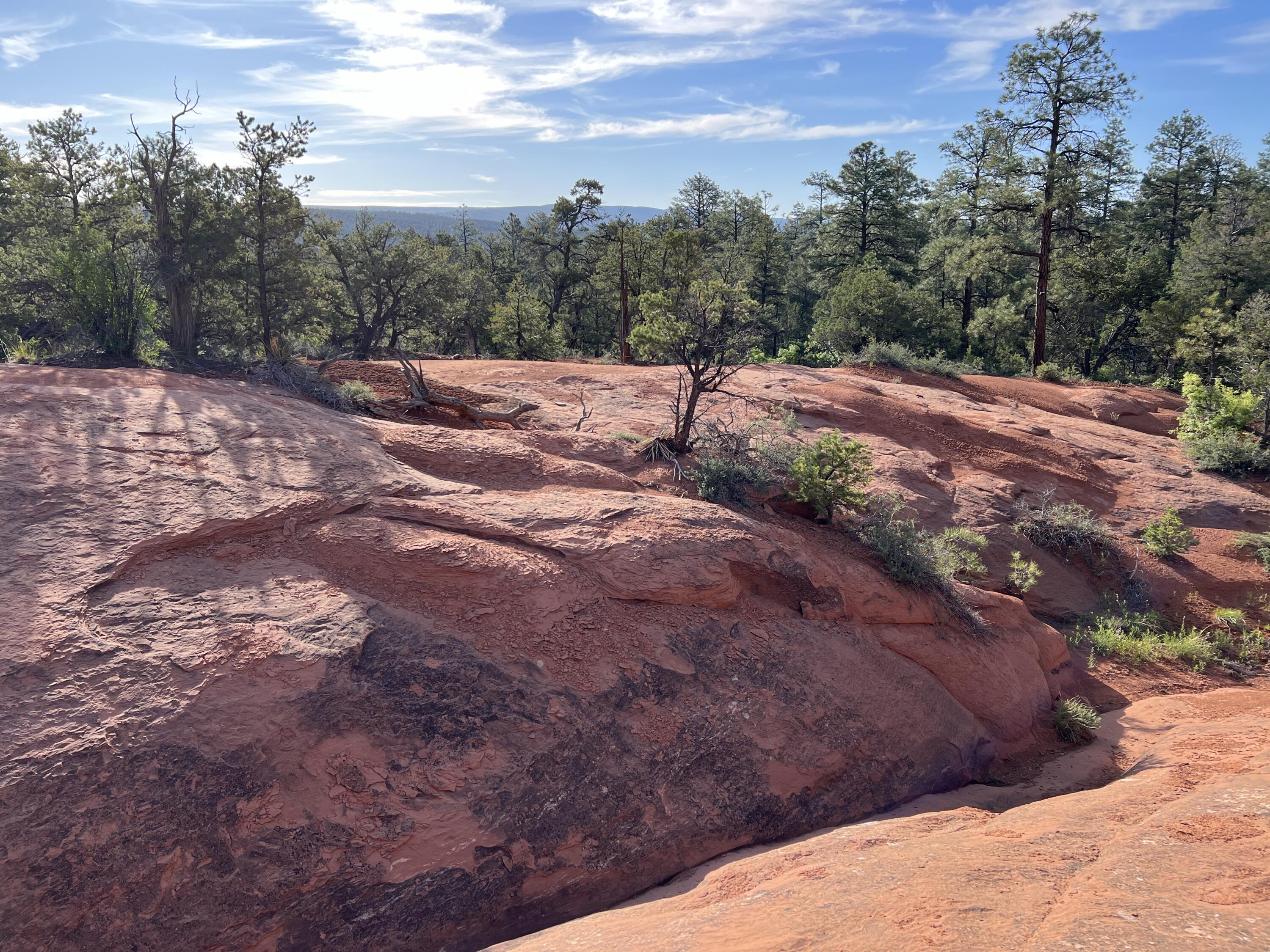 Lot 9 Juniper Drive, Ramah, New Mexico image 50