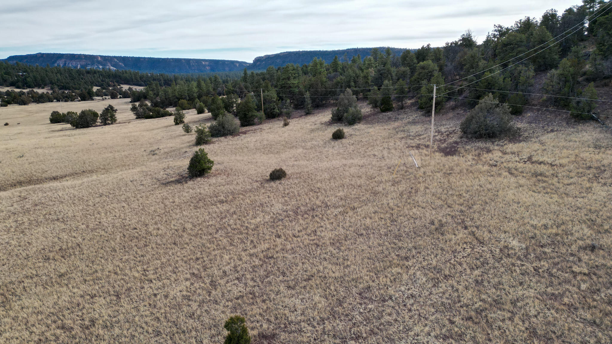Lot 9 Juniper Drive, Ramah, New Mexico image 25