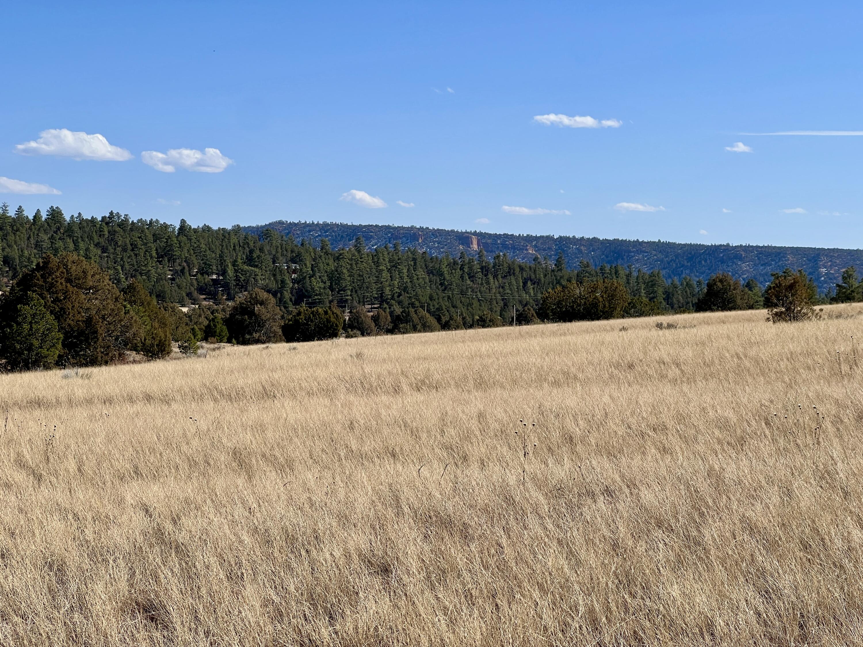Lot 9 Juniper Drive, Ramah, New Mexico image 30