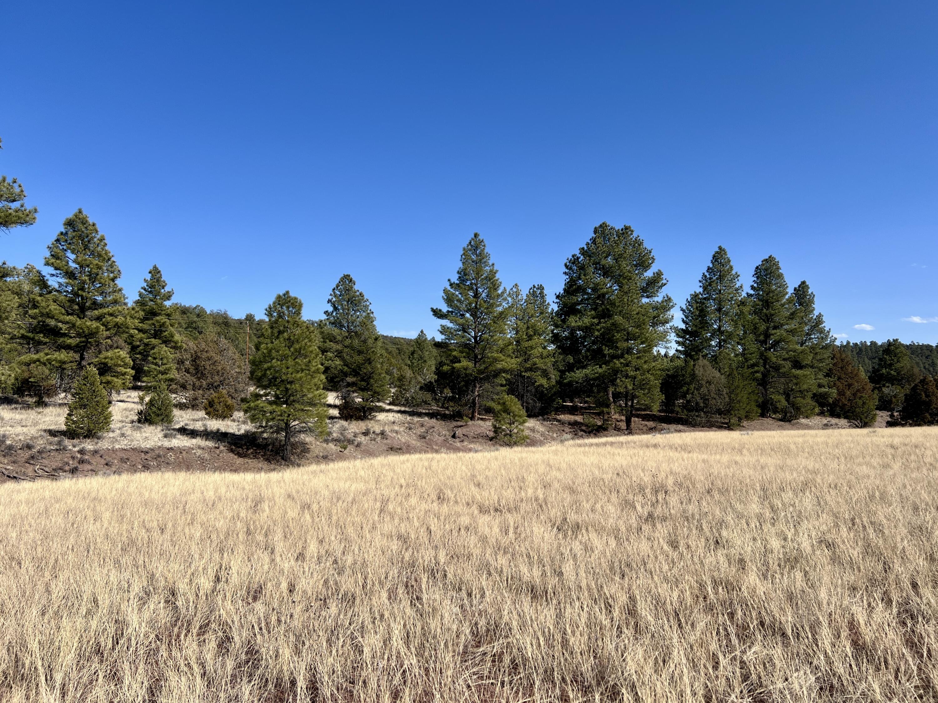 Lot 9 Juniper Drive, Ramah, New Mexico image 29