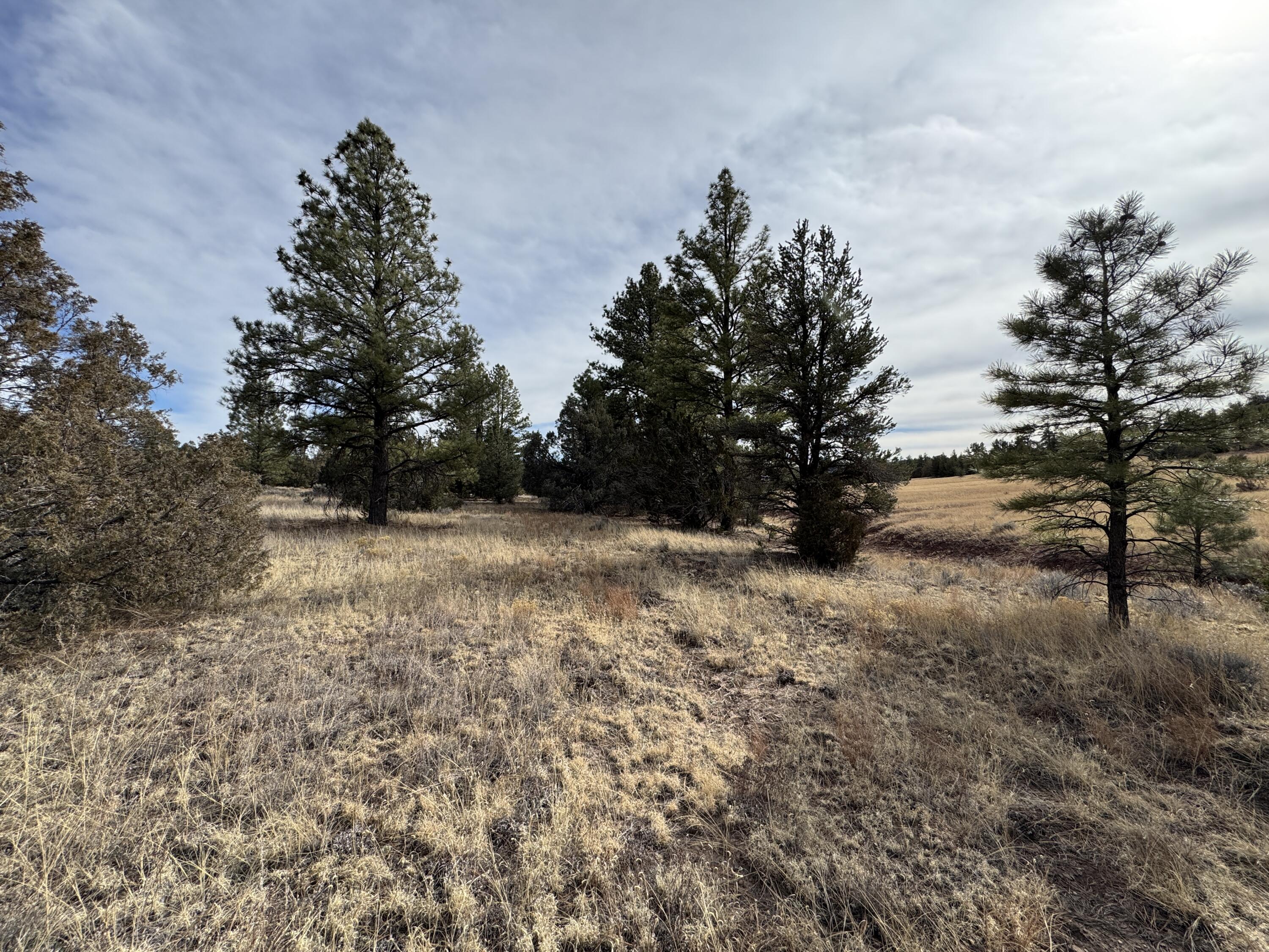 Lot 9 Juniper Drive, Ramah, New Mexico image 10