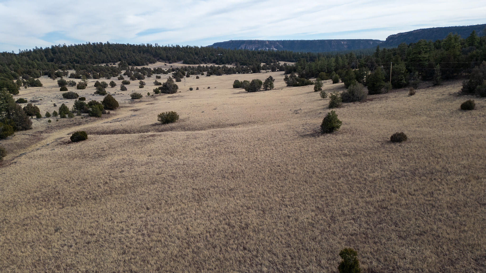 Lot 9 Juniper Drive, Ramah, New Mexico image 24
