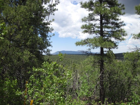 Vacant Land For Sale - 20 Estrella Vista Drive<br/> Tijeras, NM 87059