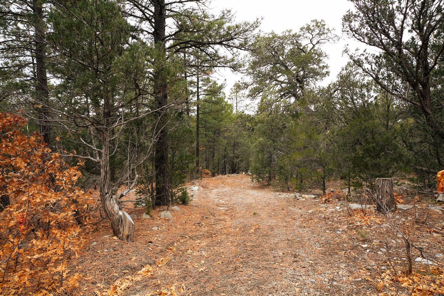 64 Anaya Road, Tijeras, New Mexico image 6