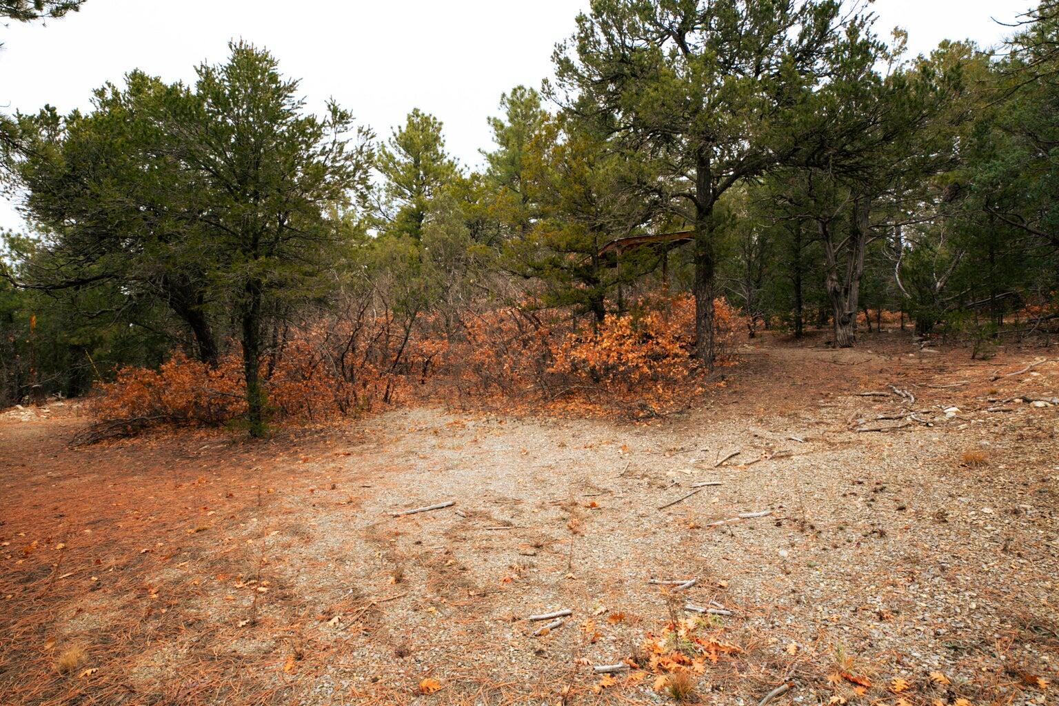 64 Anaya Road, Tijeras, New Mexico image 11