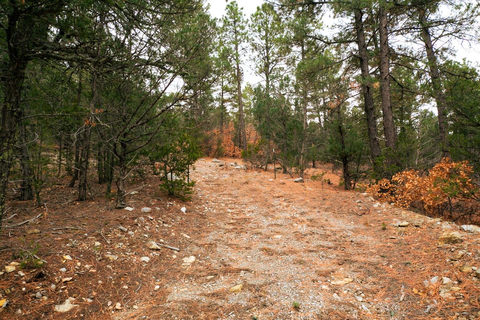 64 Anaya Road, Tijeras, New Mexico image 7