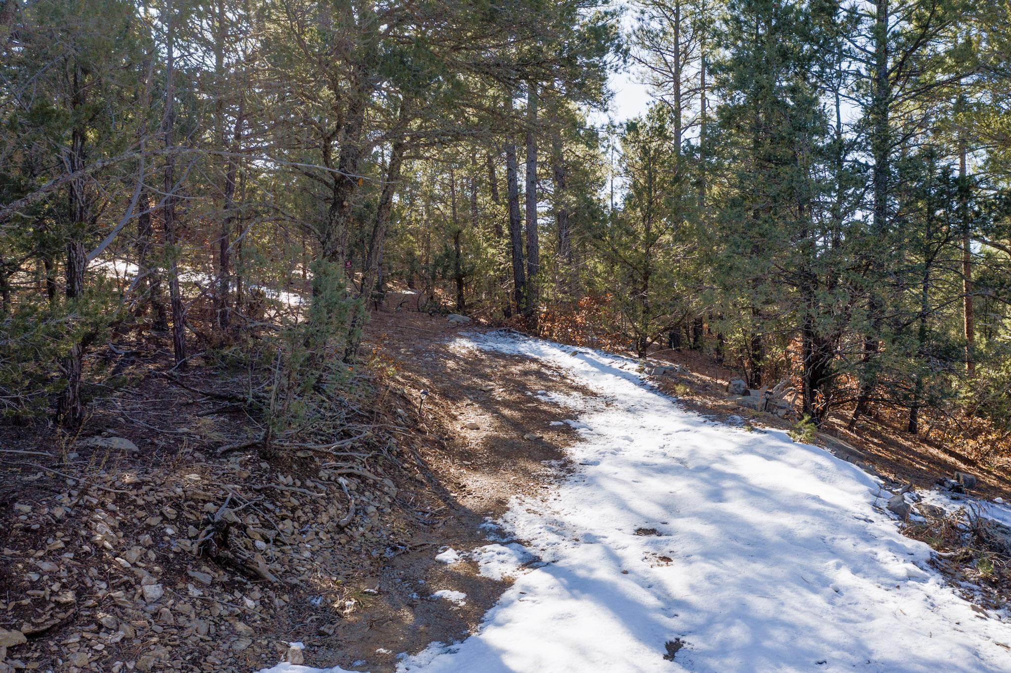 64 Anaya Road, Tijeras, New Mexico image 3