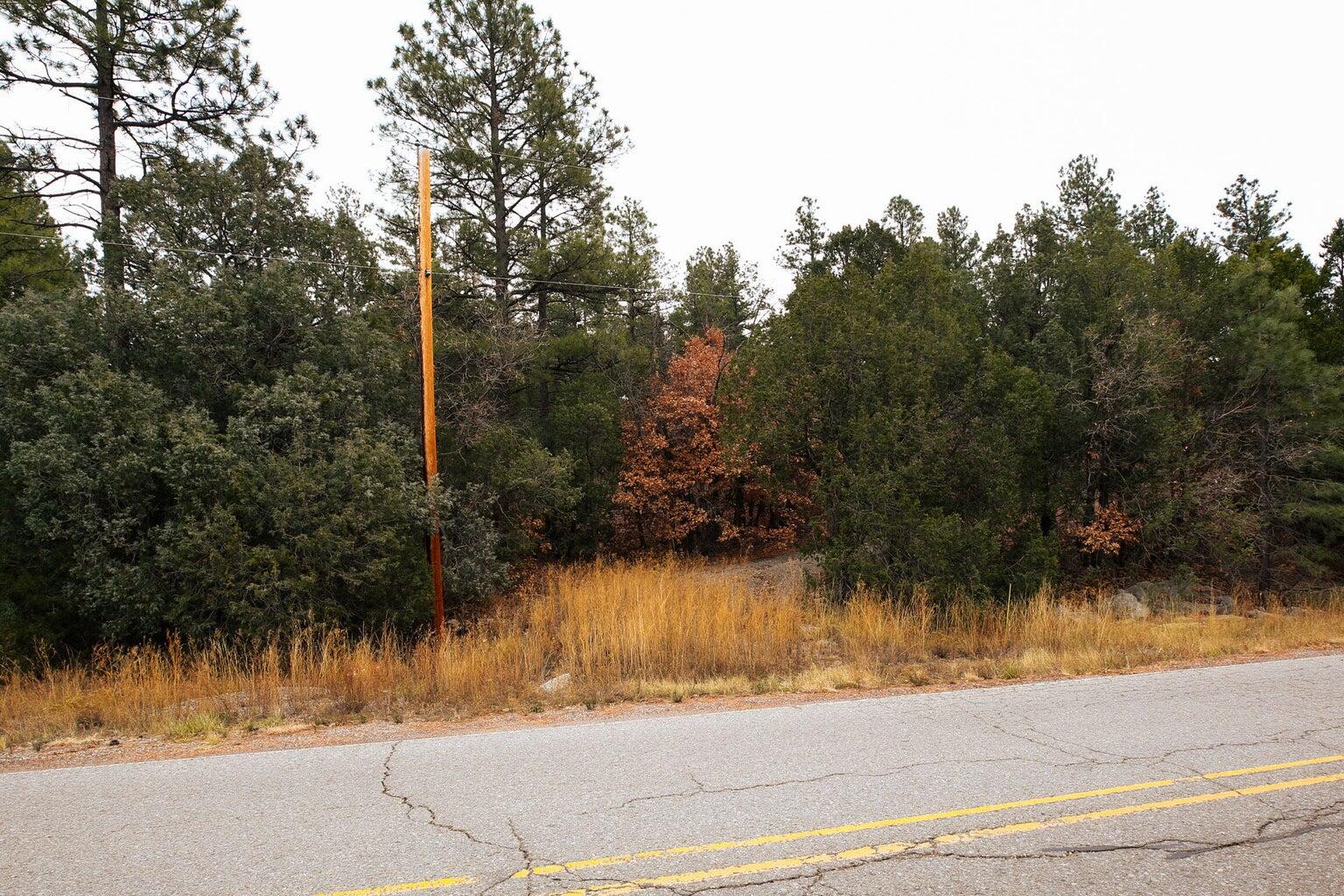 64 Anaya Road, Tijeras, New Mexico image 13