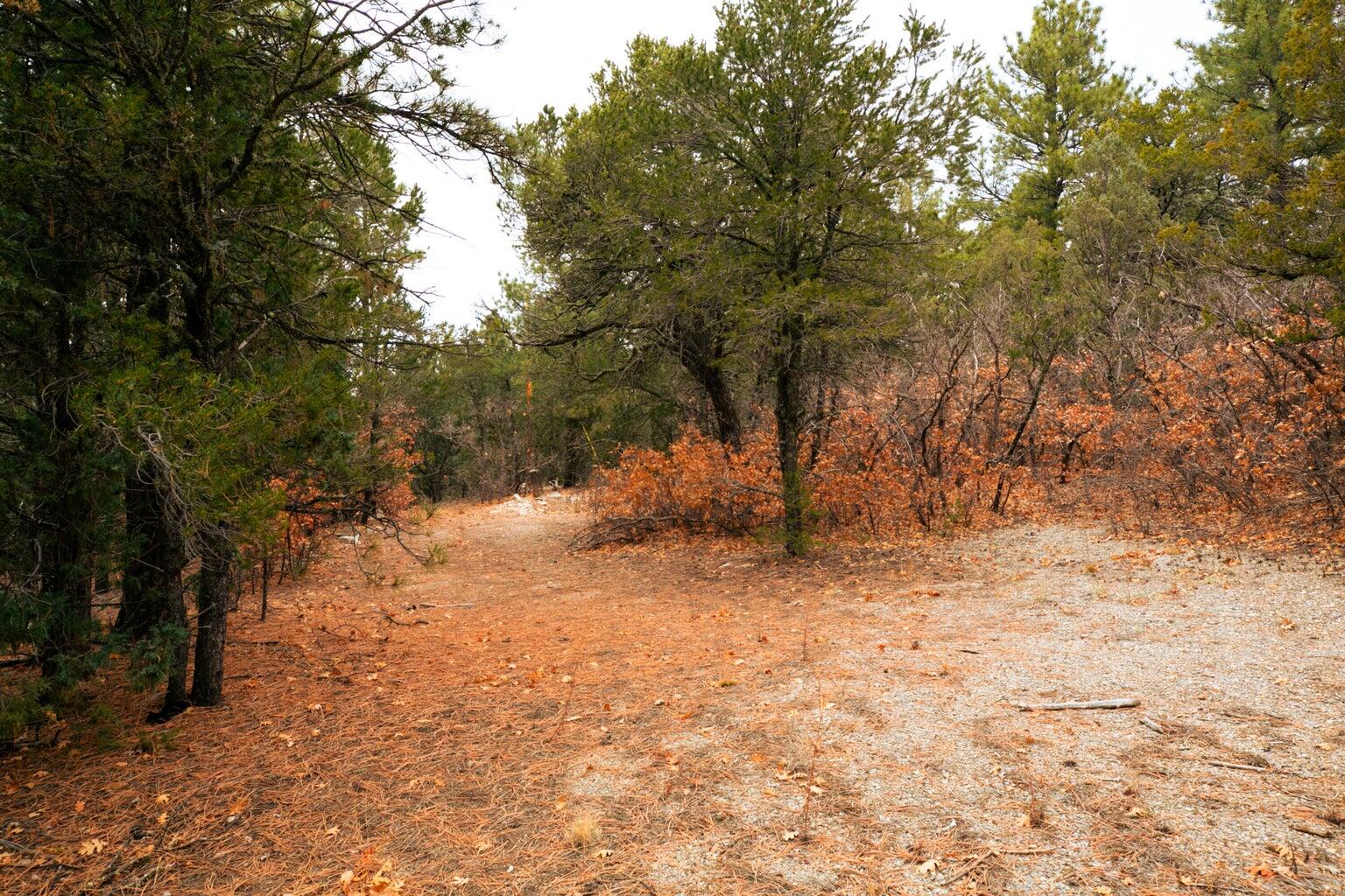 64 Anaya Road, Tijeras, New Mexico image 12