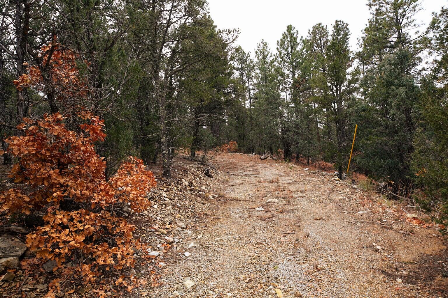 64 Anaya Road, Tijeras, New Mexico image 5