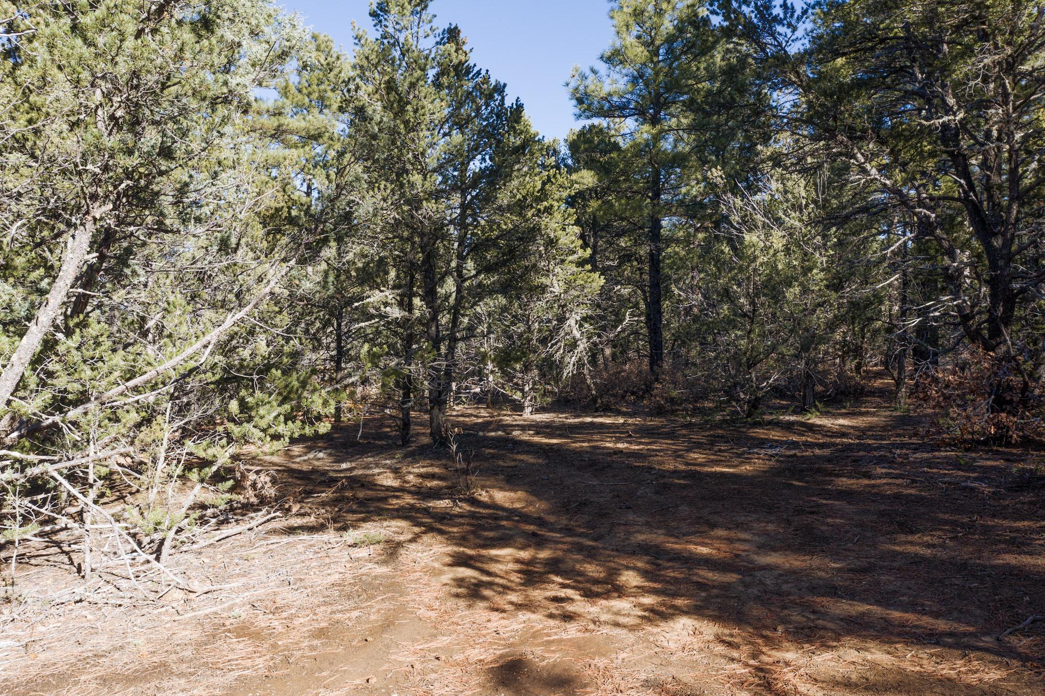 64 Anaya Road, Tijeras, New Mexico image 15