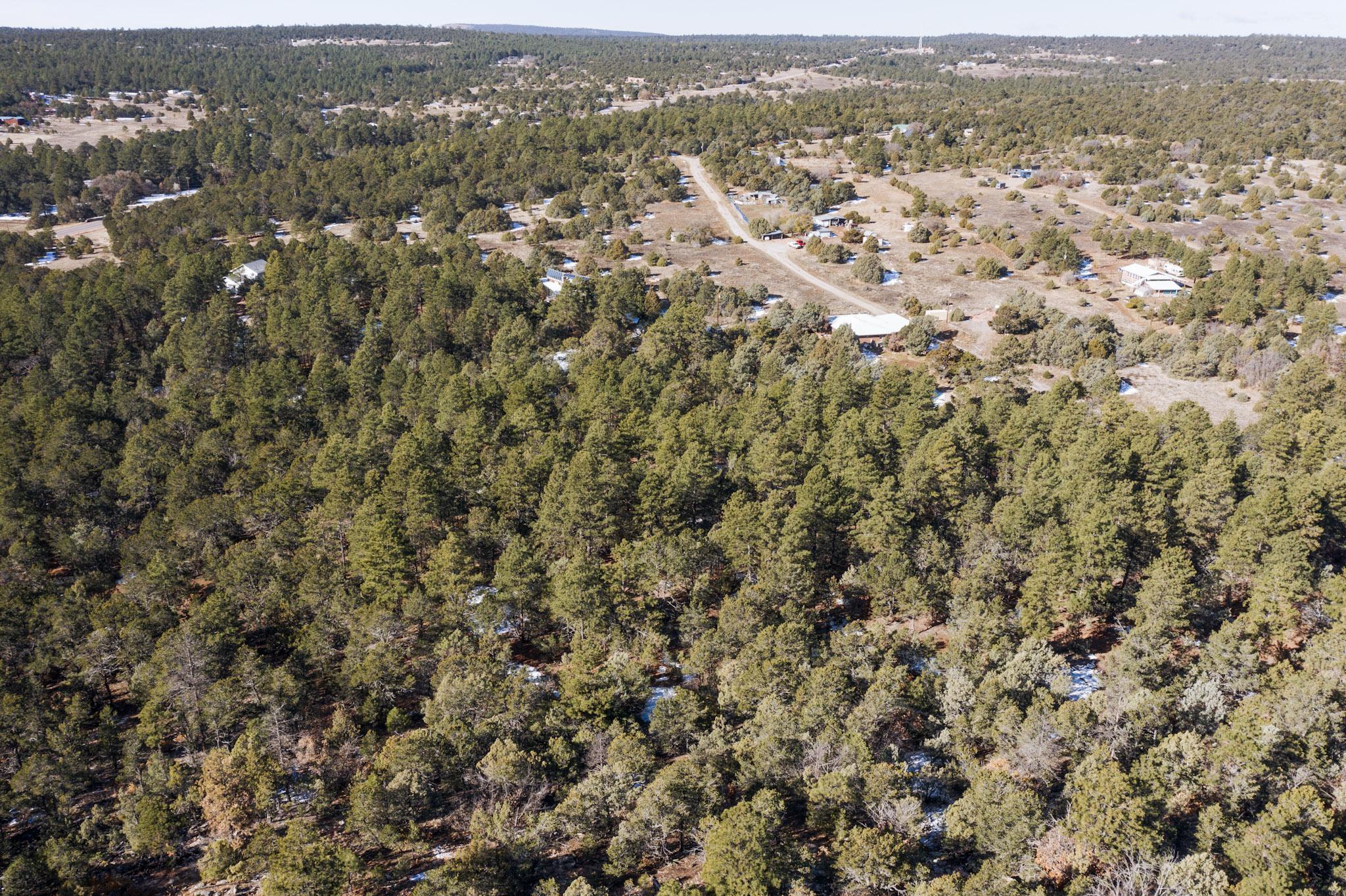 64 Anaya Road, Tijeras, New Mexico image 20