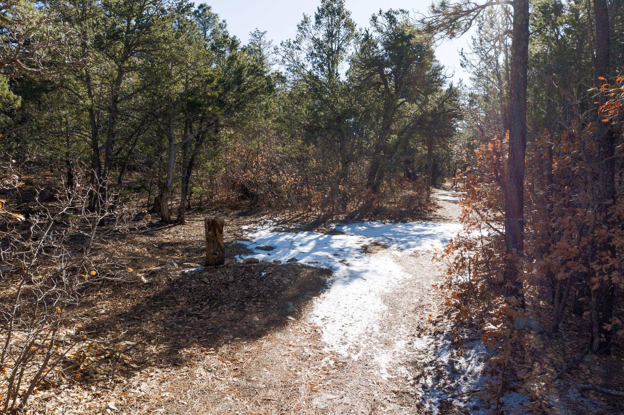 64 Anaya Road, Tijeras, New Mexico image 9