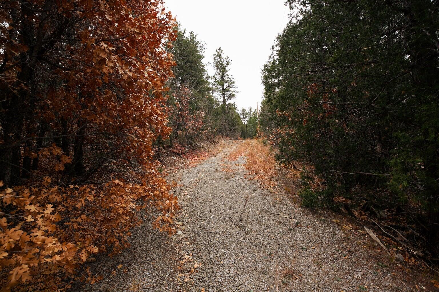 64 Anaya Road, Tijeras, New Mexico image 2