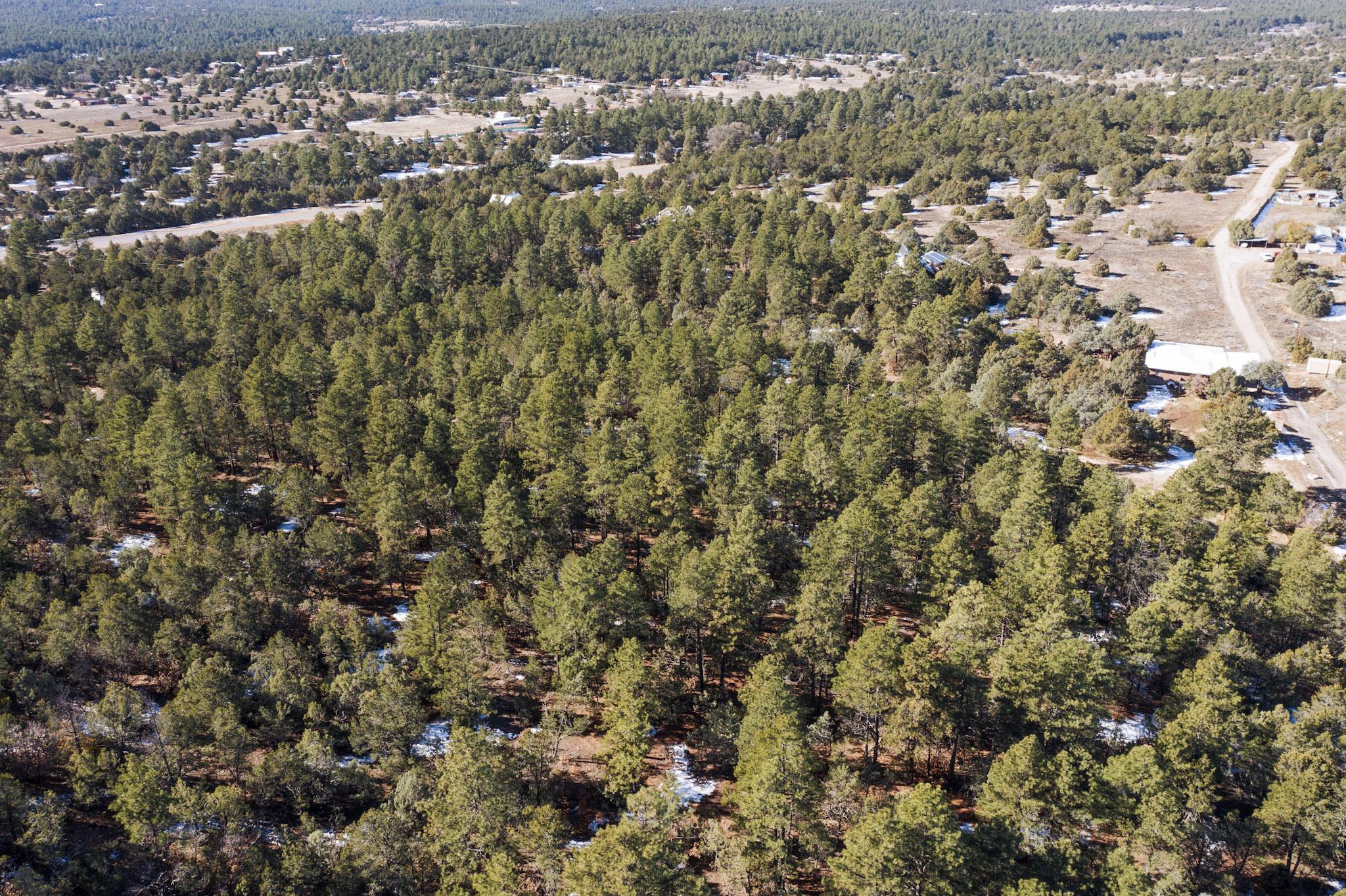 64 Anaya Road, Tijeras, New Mexico image 17