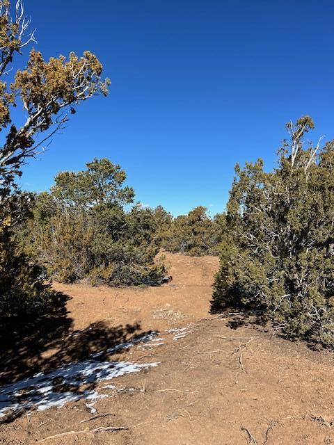 Kings Meadow Road, Sandia Park, New Mexico image 14
