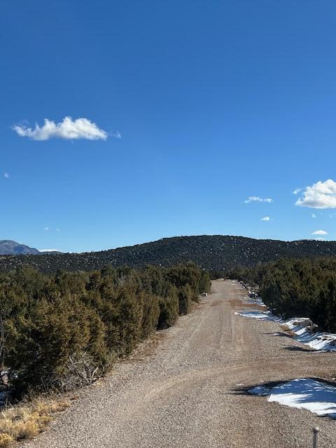 Kings Meadow Road, Sandia Park, New Mexico image 25
