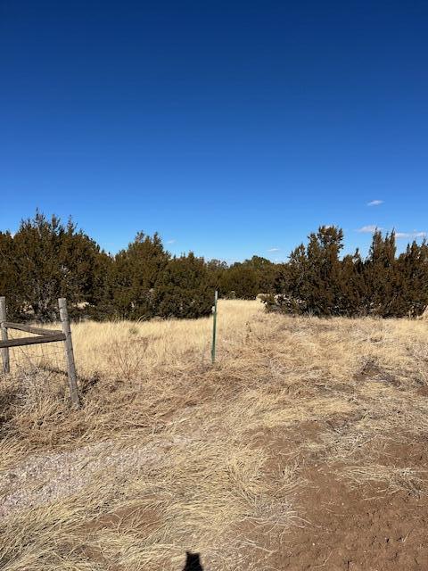 Kings Meadow Road, Sandia Park, New Mexico image 2