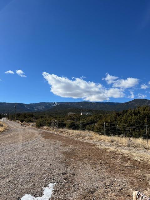 Kings Meadow Road, Sandia Park, New Mexico image 16