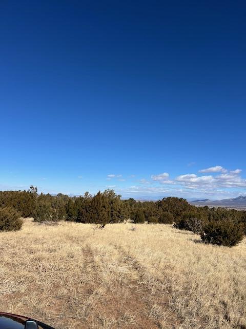 Kings Meadow Road, Sandia Park, New Mexico image 20