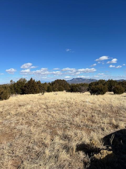 Kings Meadow Road, Sandia Park, New Mexico image 27