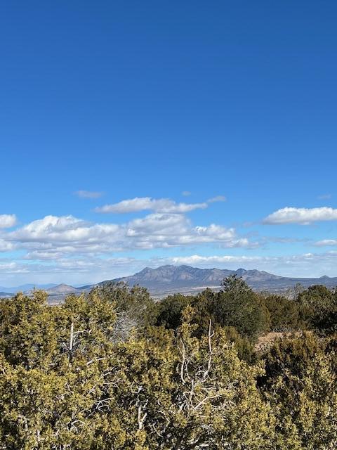 Kings Meadow Road, Sandia Park, New Mexico image 23