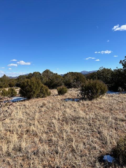 Kings Meadow Road, Sandia Park, New Mexico image 13
