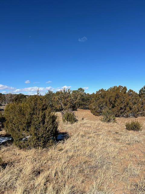 Kings Meadow Road, Sandia Park, New Mexico image 9