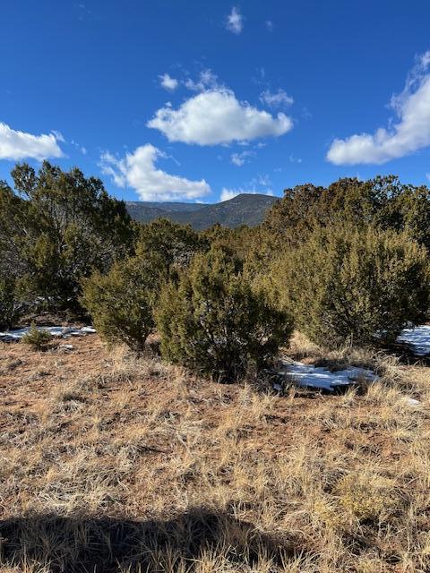 Kings Meadow Road, Sandia Park, New Mexico image 10