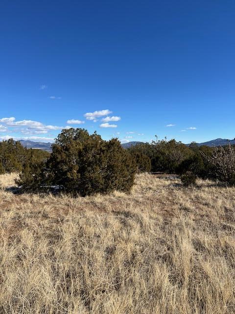 Kings Meadow Road, Sandia Park, New Mexico image 5