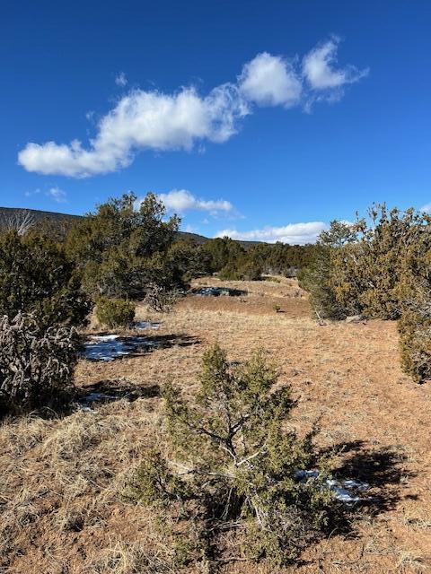 Kings Meadow Road, Sandia Park, New Mexico image 12