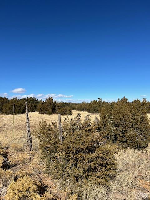 Kings Meadow Road, Sandia Park, New Mexico image 3