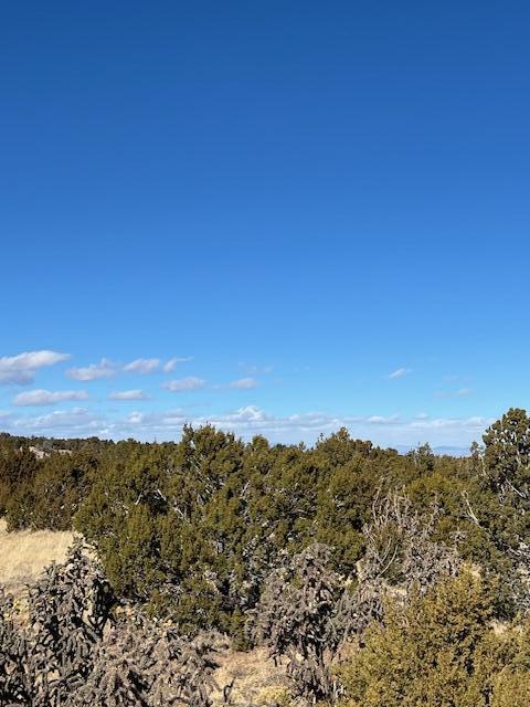 Kings Meadow Road, Sandia Park, New Mexico image 21