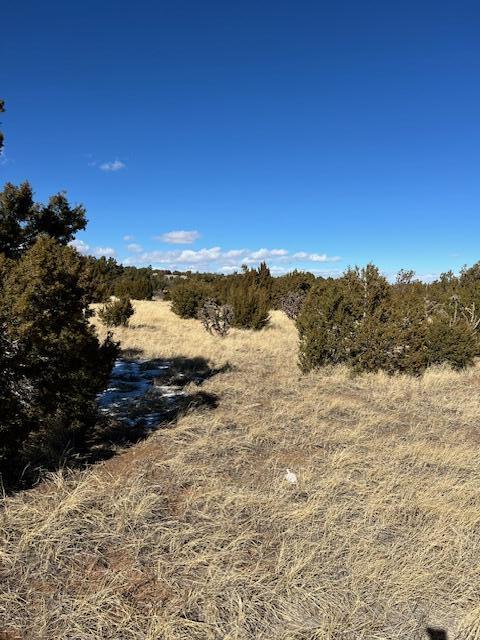 Kings Meadow Road, Sandia Park, New Mexico image 6