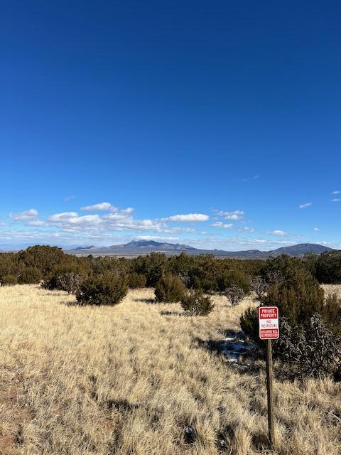 Kings Meadow Road, Sandia Park, New Mexico image 18